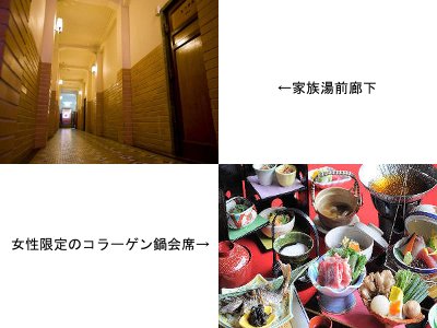 湯之島館